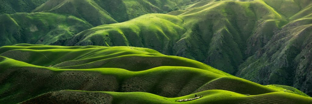 get-in-touch Get In Touch 1024x341 1